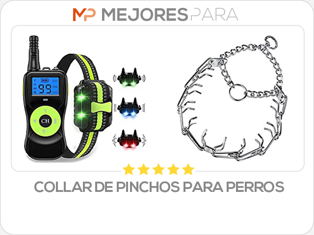 collar de pinchos para perros