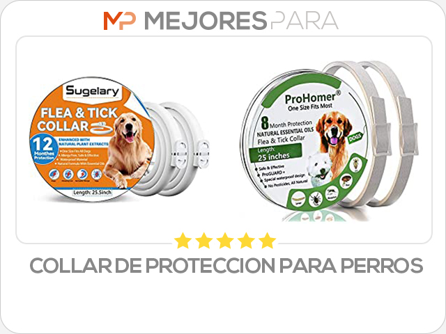 collar de proteccion para perros