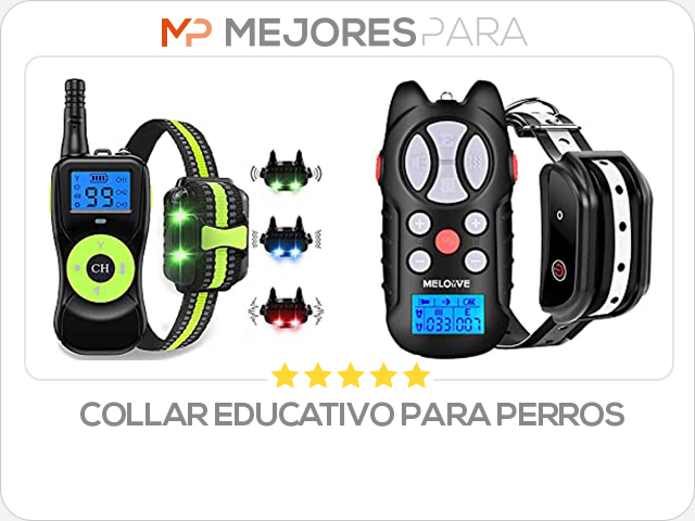 collar educativo para perros