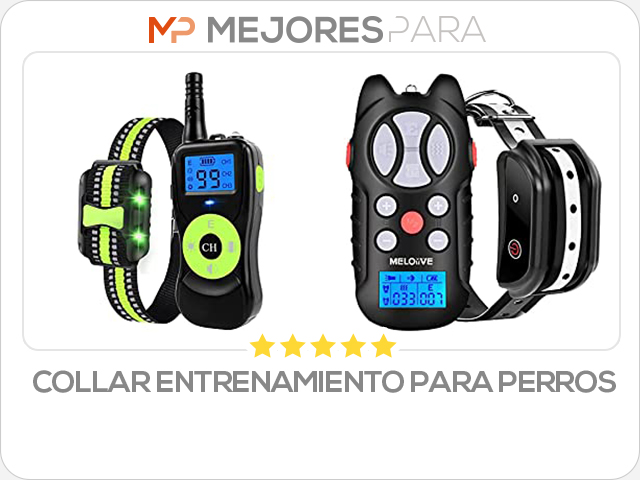 collar entrenamiento para perros