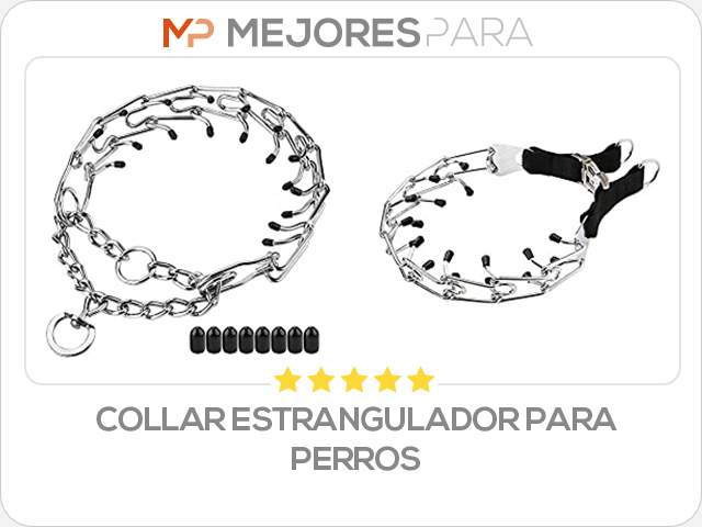 collar estrangulador para perros