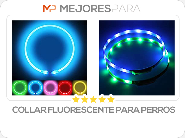 collar fluorescente para perros