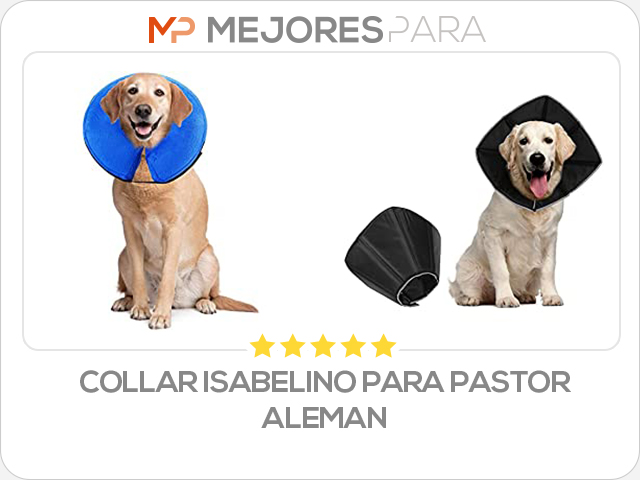 collar isabelino para pastor aleman