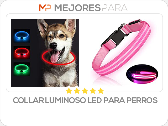 collar luminoso led para perros