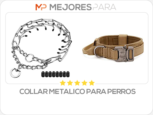 collar metalico para perros