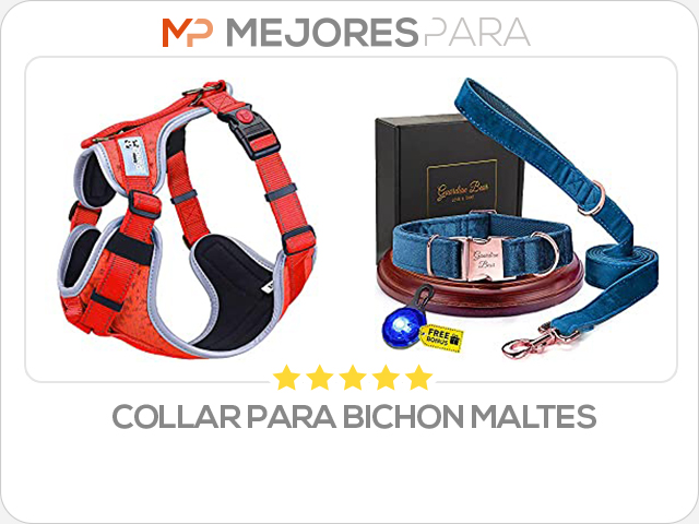 collar para bichon maltes