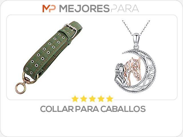 collar para caballos