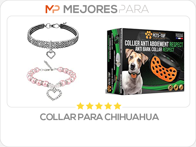 collar para chihuahua