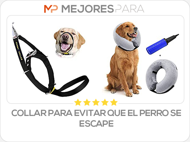 collar para evitar que el perro se escape