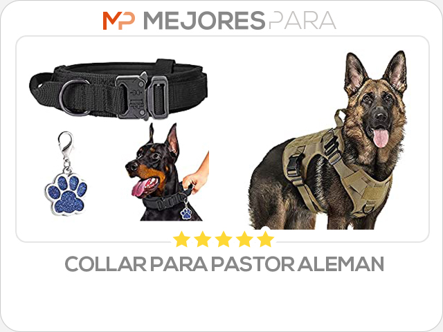 collar para pastor aleman