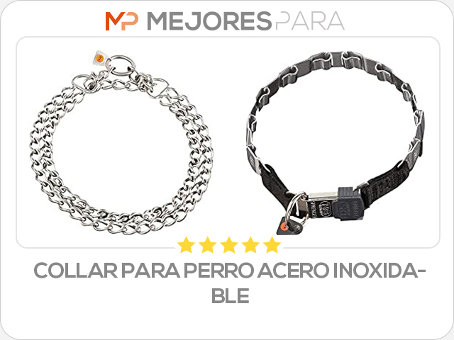 collar para perro acero inoxidable