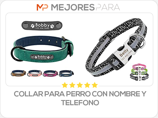 collar para perro con nombre y telefono