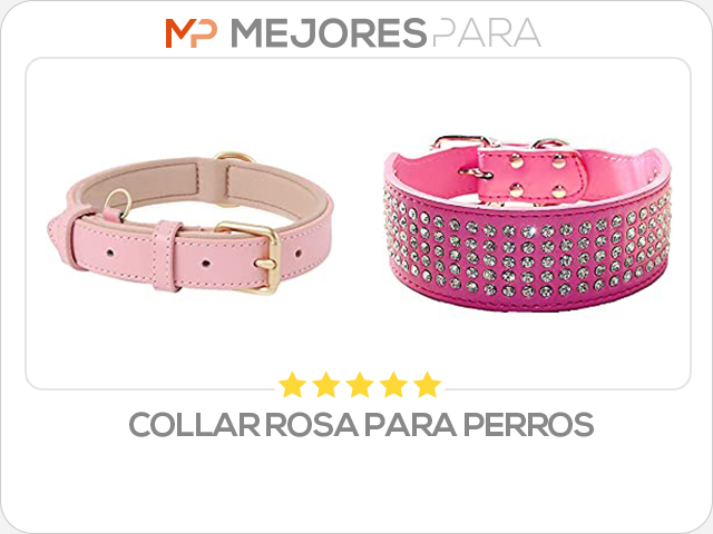 collar rosa para perros