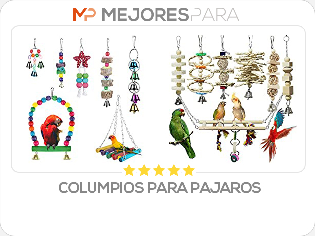 columpios para pajaros