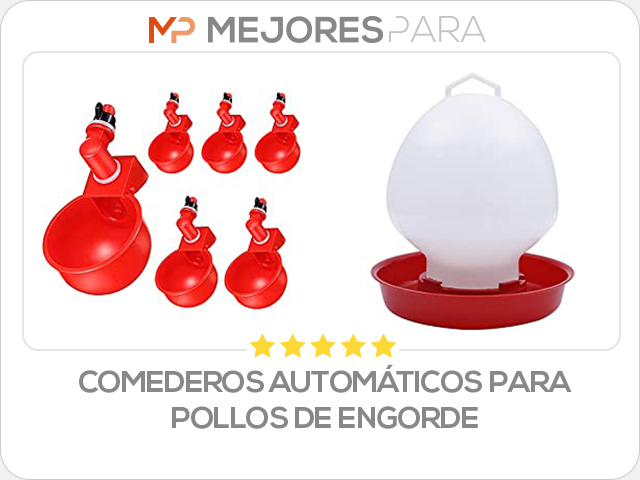 comederos automáticos para pollos de engorde