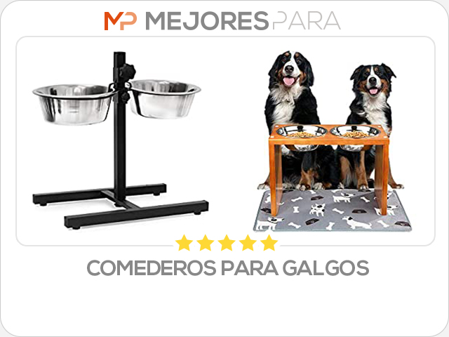 comederos para galgos