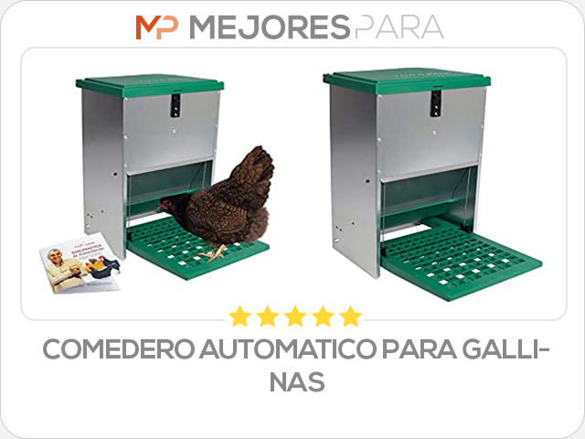 comedero automatico para gallinas