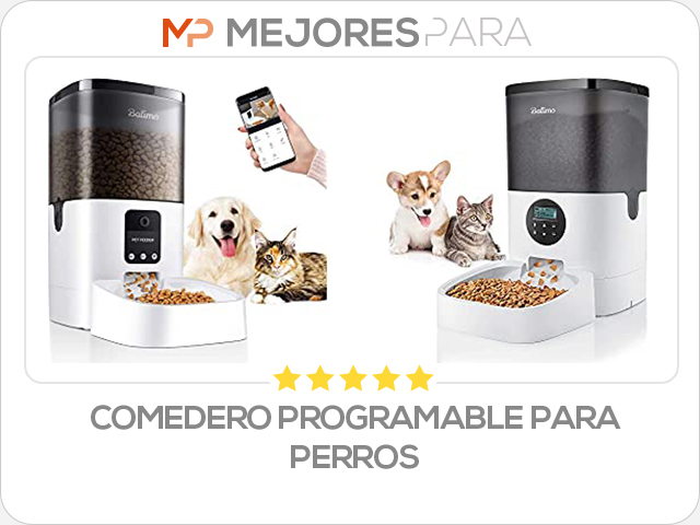 comedero programable para perros