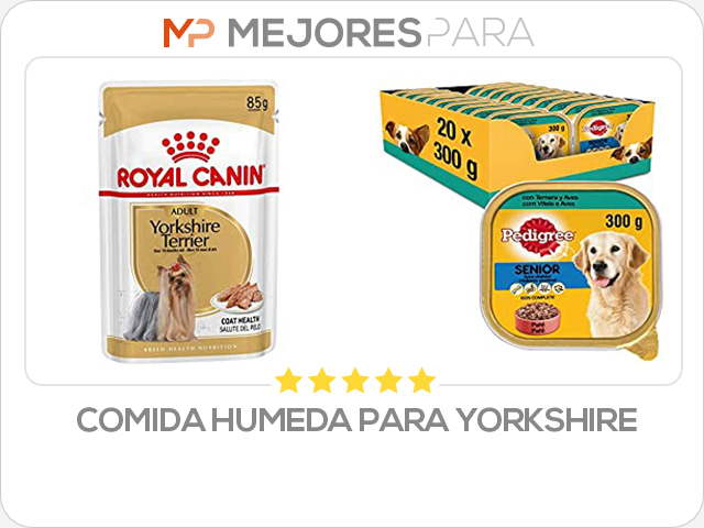 comida humeda para yorkshire