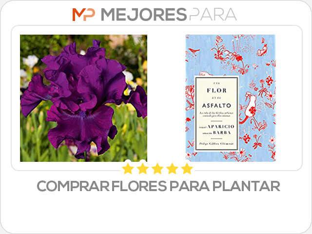 comprar flores para plantar