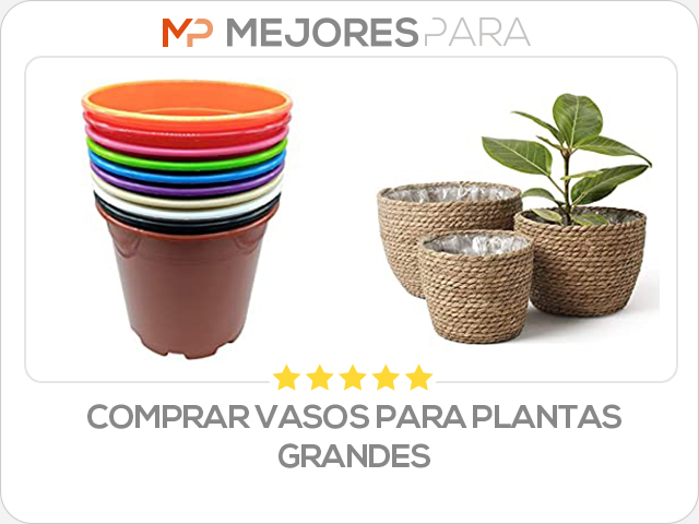 comprar vasos para plantas grandes