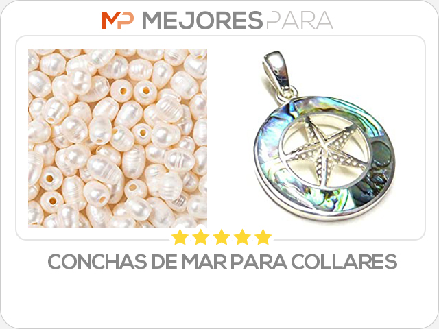 conchas de mar para collares