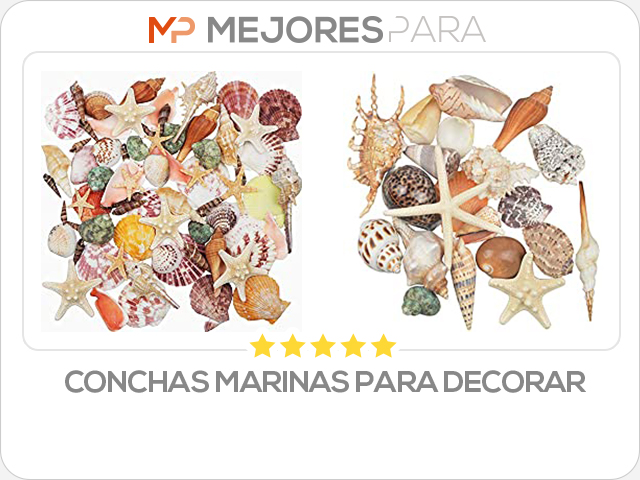 conchas marinas para decorar