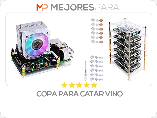 copa para catar vino