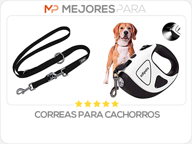 correas para cachorros