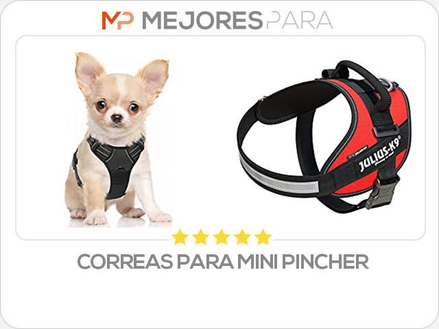 correas para mini pincher