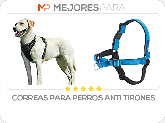 correas para perros anti tirones