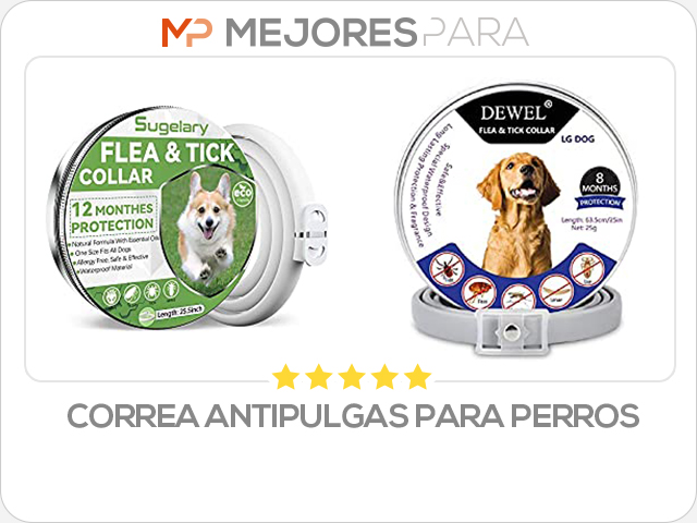 correa antipulgas para perros