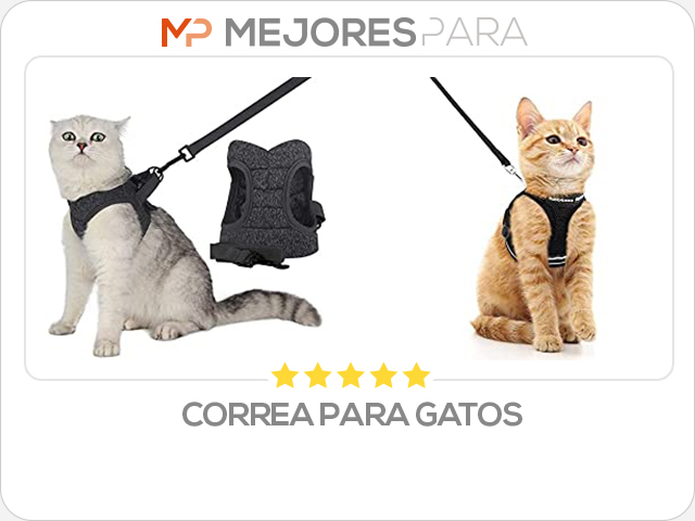 correa para gatos