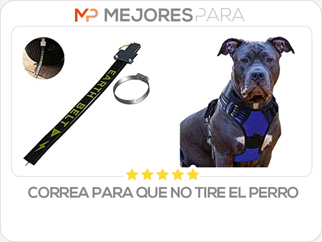 correa para que no tire el perro