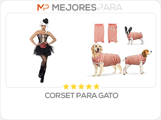 corset para gato