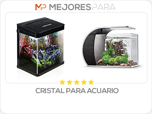 cristal para acuario