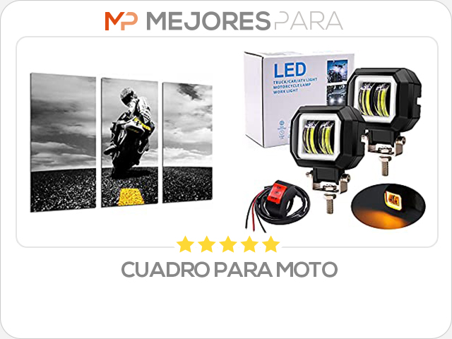 cuadro para moto