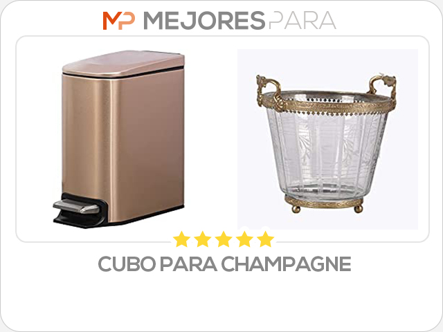 cubo para champagne