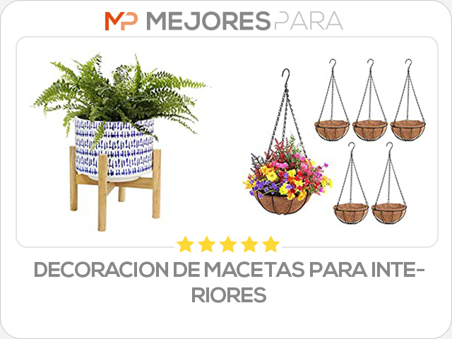 decoracion de macetas para interiores