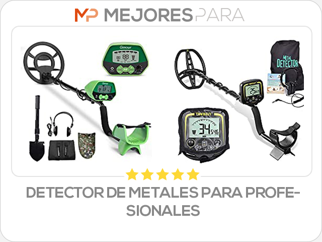 detector de metales para profesionales