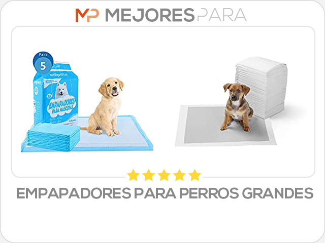 empapadores para perros grandes