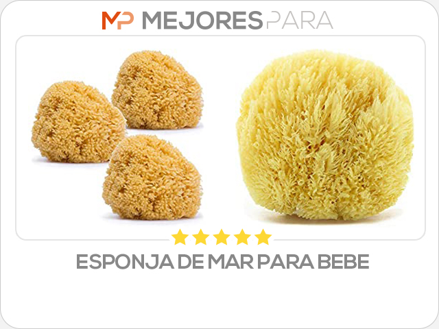 esponja de mar para bebe