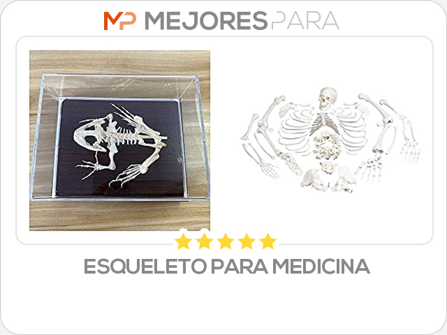 esqueleto para medicina