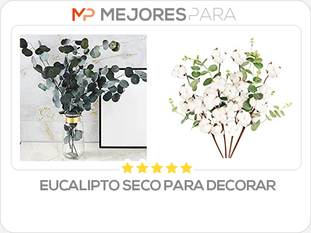 eucalipto seco para decorar