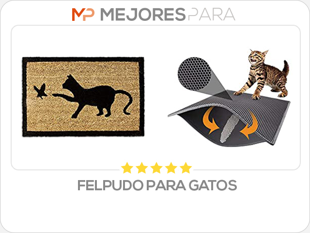 felpudo para gatos