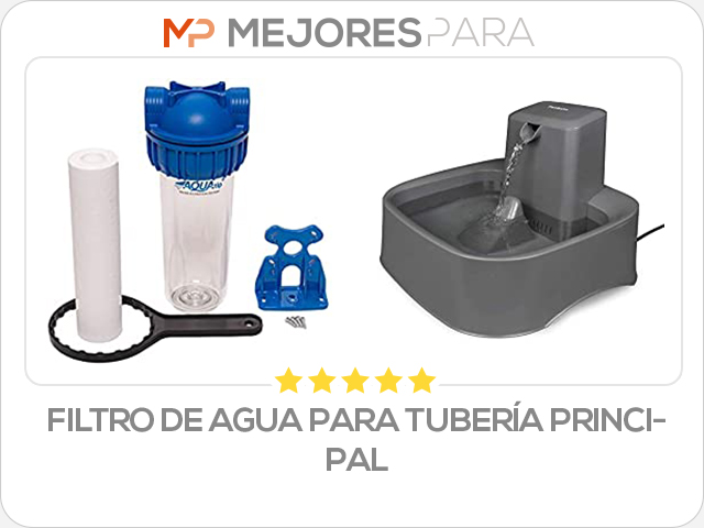 filtro de agua para tubería principal