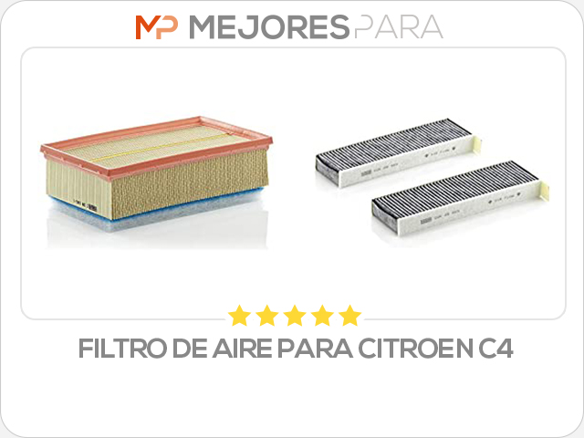 filtro de aire para citroen c4