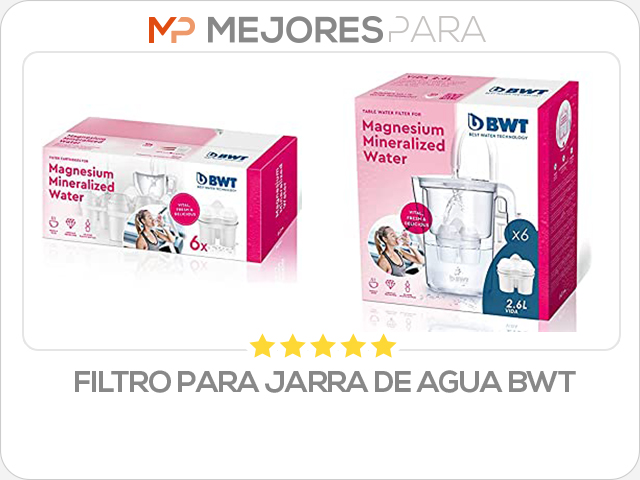 filtro para jarra de agua bwt