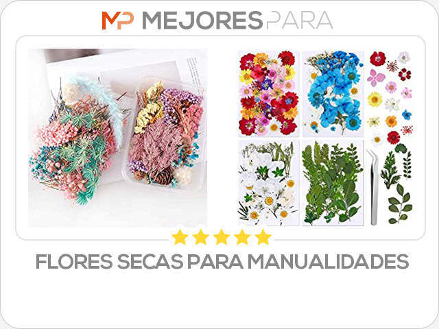 flores secas para manualidades