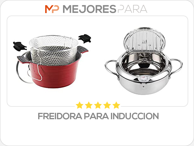 freidora para induccion